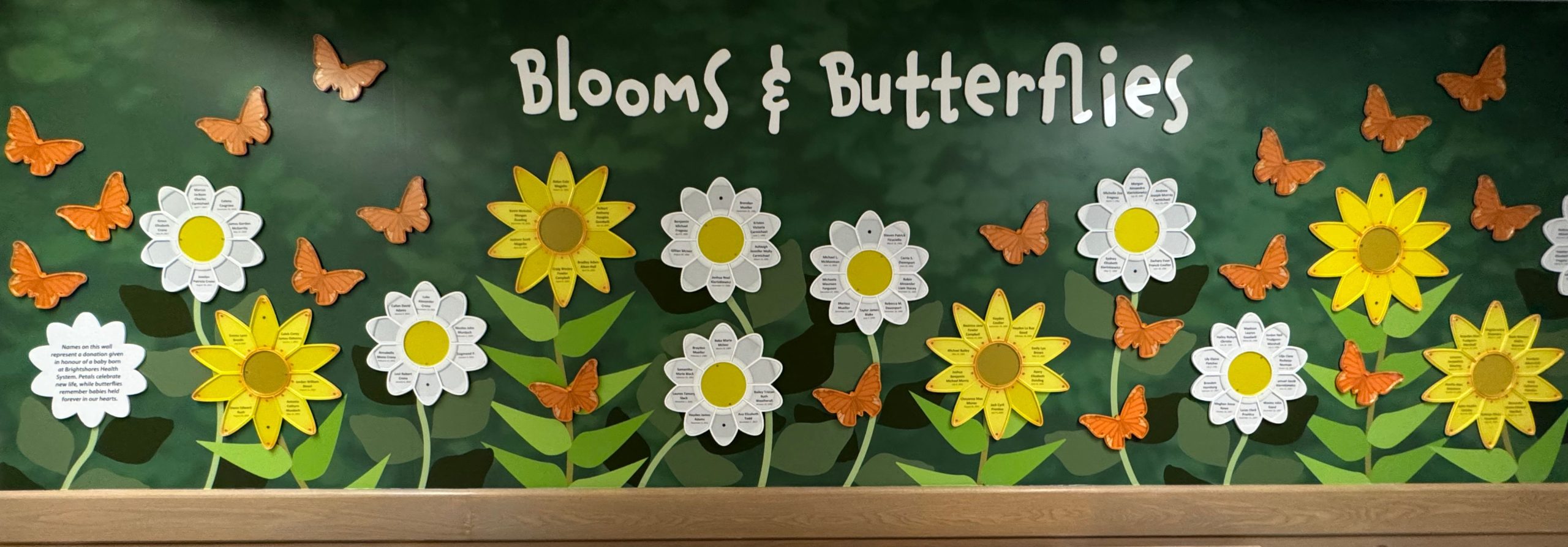 WALL (6) full wall 2 - Edited